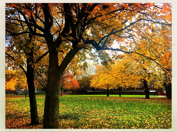 hipstamaticphoto-563553949.515662